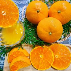 [맛없음반품] 새콤달콤 천혜향 산지직송 선물용 가정용, 가정용포장, 천혜향 소과 5kg(32과 이상), 1박스