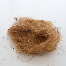 코코넛 베딩 30g