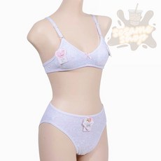 참깨샵 나노실리버 A컵 주니어 2단계 브라팬티세트 여아브라