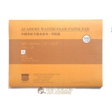 寶虹 學院級 全棉水彩紙 300gsm 38x53cm 中粗目 20張, 詳見包裝