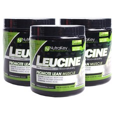 NutraKey 白胺酸, 3個, 150克