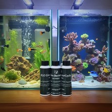 슬로 라이브 박터사이클 여과 박테리아 물갈이 스타터 수질 안정제, 1개, 100ml