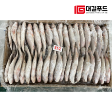 수입산 민어조기 10kg, 1개, 100/200 80미내외