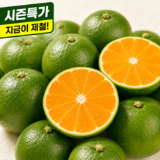 [산지직송] 제주 청귤 신선한 제철과일, 1박스, 3kg