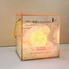 조개무드등 조명 조개 침실 무드등 세라믹 침대 수면등 인테리어 진주, F. 핑크 쉘/L+선물 상자/라피아, 큰 조개/핑크+상자/라피아