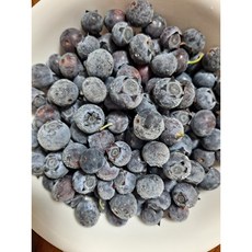 [냉동] 전남 고흥 블루베리 산지직송, 1개, 1kg