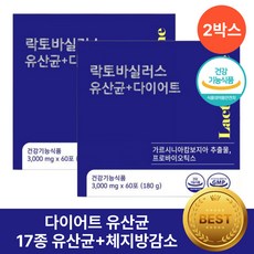 중년 뱃살 다이어트 유산균 헬시위듀 가르시니아 락토바실러스, 2박스, 60정