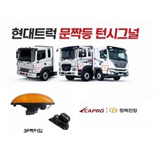 대성부품 현대트럭 문짝등 24V 사이드램프 메가 EG5톤 뉴파워텍 트라고 파워텍 파비스 턴시그널 미등 깜박이 3P 2P 화물차 대형트럭 윙바디 탑차 덤프 카고 추레라 트레일러, 1개, ,