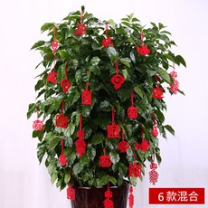 新年裝飾掛飾, 紅色【圖案混搭】