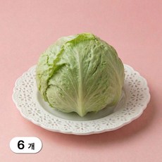 [가든엔] 국내산 알뜰 양상추 손질 개별포장, 6개, 250g