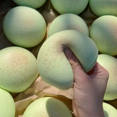 쫀득베이커리 버터 메론 호빵 빵말랑이 스퀴시 스퀴지, 메론브레드