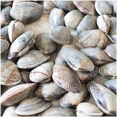 남해안 삼천포 활(알)바지락 2kg/ 깐바지락 1kg 500g/ 깐홍합 1kg/냉동바지락 1kg - 청정해역 남해안 삼천포에서 채취한 조개류, 냉동바지락 1kg, 1개