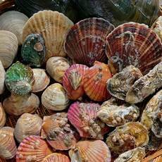 모듬조개세트 제철 해산물모음, 1세트, 제철모둠조개 대박세트(2kg)