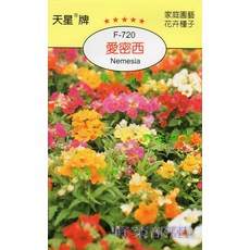 天星牌 愛密西 Nemesia 種子 (F-720) - 野菜部屋, 1包