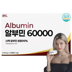 [99%] 알부민 60000 식약청 인증 HACCP 비엔엘, 1개, 120정