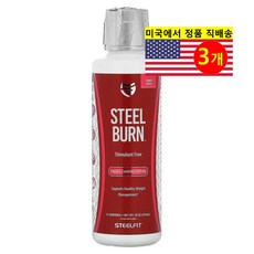 SteelFit USA 스틸 번 리퀴드 L-카르니틴 3000mg 캔디 애플 맛 L-Carnitine, 3개, 473ml