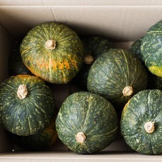 뉴칼레도니아 뉴질랜드 수입 단호박 고당도 달콤한 단호박, 1개, 정품 / 3kg / 3~4개