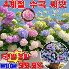 수국 씨앗 4계절 꽃 씨앗 노지 월동 다년생 꽃 씨앗 봄꽃 씨앗 노지월동 봄꽃씨앗 사계절 개화 수국 씨앗 관상용 사은품 런덤 증정, 50개