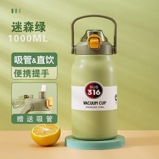 1000ML 運動水壺 附吸管 便攜保溫杯, 1個, 1000ML,楓葉紅