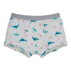 [삐삐롱]디노라이프 남 모달스판 드로즈 팬티