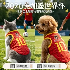 世界盃狗狗球衣透氣背心, 新款 西班牙10號, 1個