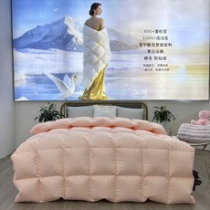 新款加厚保暖羽絨被 四季通用單人/雙人被 糯棉鵝絨被芯 冬被首選, 糯玉,200*230被子被殼