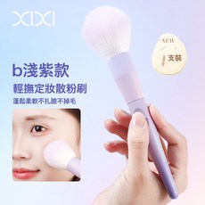 DFMEI 輕撫定妝散粉刷新手學生化妝工具補妝腮紅化妝師專用美妝, B淺紫:如圖, 1個
