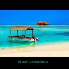 어항백스크린 어항 시트지 인테리어 장식 열대어