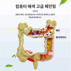 위장 모형 심폐 병원 인체의 심장 신비 해부학, 단일