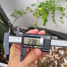 150mm 전자 디지털 캘리퍼스 플라스틱 다이얼 버니어 LCD 디스플레이 게이지 미터 캘리브레이터 측정 도구 자, 1세트