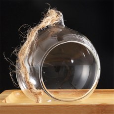 시오 식물투명볼5쌍 조명오브제, 10cm