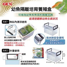 帥哥水族【GEX 五味】幼魚隔離培育養殖盒 Q-024 隔離盒 飼養箱 魚缸 初生魚 仔魚 飼育箱, 1個
