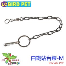 ＊來成鳥園＊鸚鵡腳鍊/外出鍊/白鐵站台鍊M款(鏈條加粗) 適合灰鸚 小巴 亞馬遜 折衷 帽科等大型鸚鵡, 1個