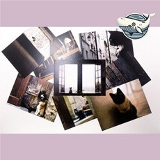 블랙 고양이 감성 포토 엽서 인테리어 소품_ 20267643EA, 8