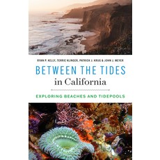 (영문도서) Between the Tides in California: Exploring Beaches and Tidepools Paperback, University of Washington Press, English, 9780295752372