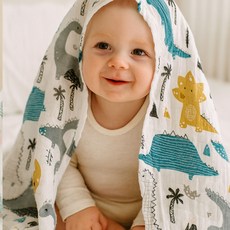 불로홈 대나무 밤부 거즈 아기 유아 신생아 블랭킷 120x120cm, 밤부_공룡(120x120cm)