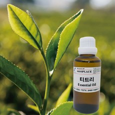수플레이스 에센셜오일 티트리 10ml, 1개