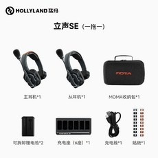 홀리랜드 Solidcom SE 5S 무선 헤드셋 인터컴 솔리드컴 hollyland, 1개, B. Lisheng SE 일대일