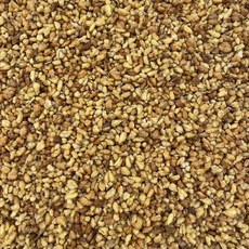 볶은 메밀 메밀차 Buckwheat 천년건강 한방차, 1개, 1개입, 500g