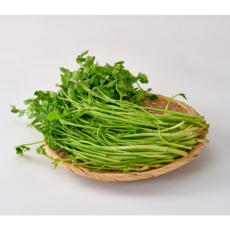 미나리 부드럽고 아삭한 청도미나리 600g 800g, 1