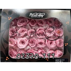 花藝夢 日本大地農園不凋永生玫瑰花 02370/02378 24輪單色乾燥花 (單朵計價), 111