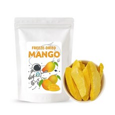 앤네이처 순수 자연 동결건조 망고피스 리얼칩, 2개, 100g