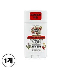 미국 휴대용 데오도란트 여성용 파워스틱 인채티드 체리, 1개, 64ml