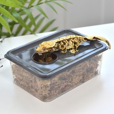 레파즈 게코 습식 케이지, 습식 케이지 뚜껑