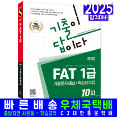 FAT 1급 기출문제집 교재 책 2025, 시대고시기획