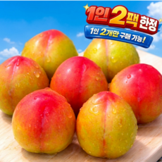 [선착순예약판매] 백화점마트납품 임산부입덧 하우스자두 햇자두, 1세트, 500g (중소과)