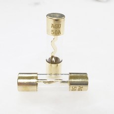 AGU 휴즈 AGU퓨즈 앰프휴즈 유리관휴즈, AGU 휴즈 100A 단품, 1개, AGU 휴즈 100A 단품
