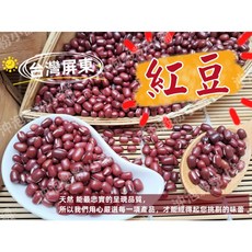 台灣屏東 紅豆 夾鏈袋真空包裝 顆粒均勻大顆 易煮綿密鬆軟【沖泡穀粉小舖】, 1個, 生的 (燉煮用),300g