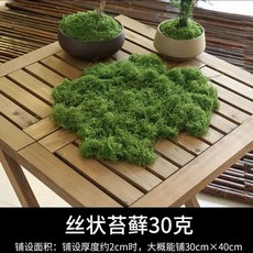 인조 이끼 넝쿨 조화 화분 데코레이션용 다육 장식, H. 실크 이끼 30g딥그린, 1개