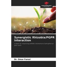 (영문도서)Synergistic Rhizobia/PGPR interaction Paperback, Our Knowledge Publishing, English, 9786206718468